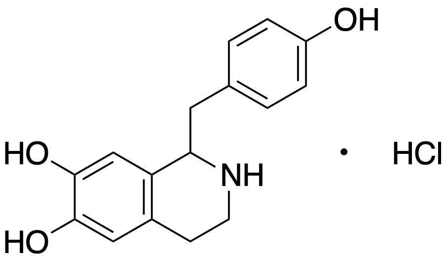 {$productinfo->name}