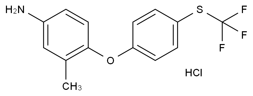 C4X-24021