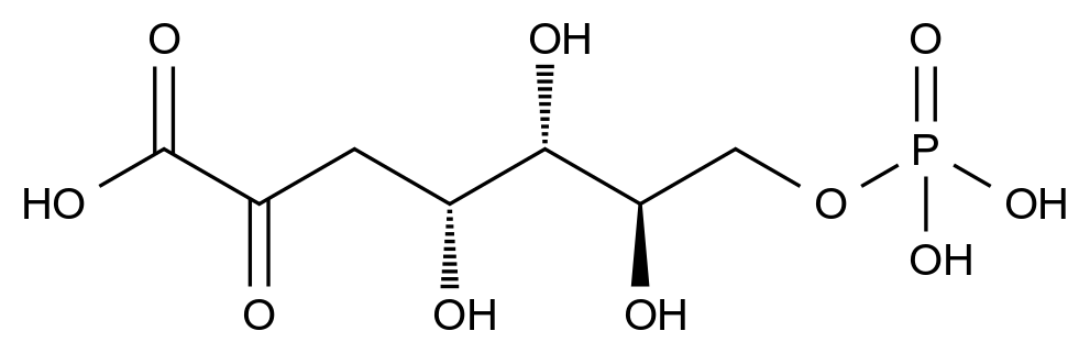 C4X-177945