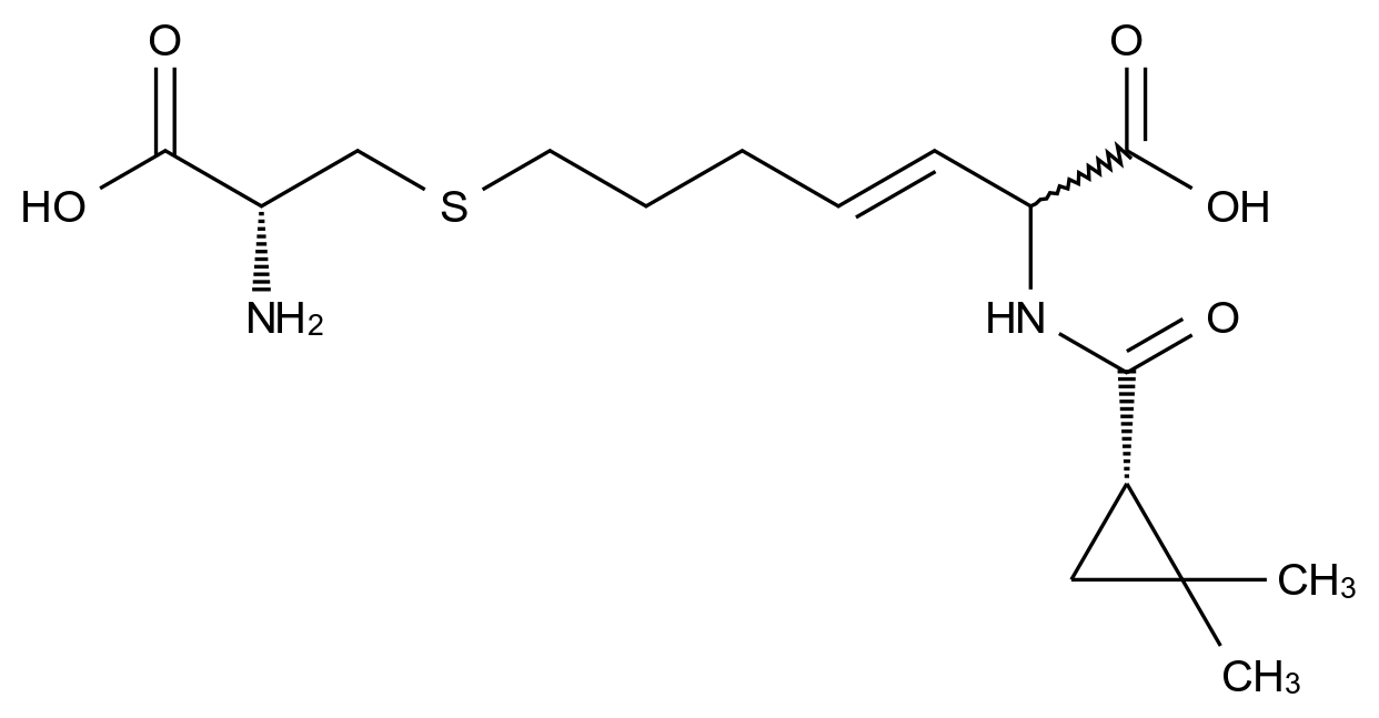 C4X-196016