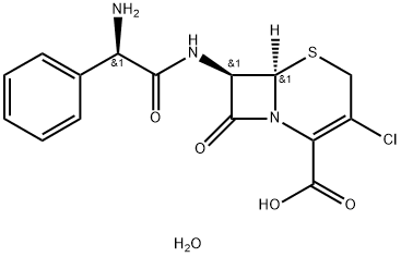 70356-03-5_頭孢克洛(一水物)