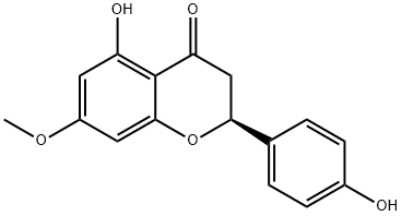 2957-21-3_櫻花亭