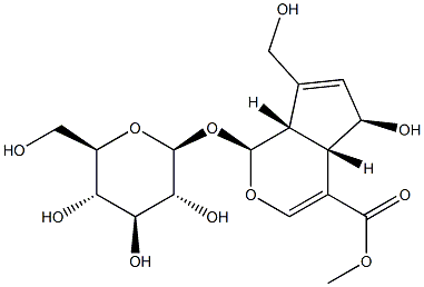 27530-67-2_雞矢藤次苷甲酯