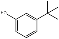 585-34-2_3-叔丁基苯酚