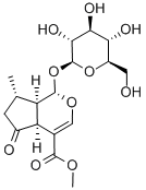 548-37-8_馬鞭草苷