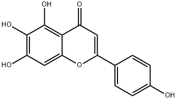 529-53-3_野黃芩素