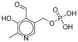 1246818-16-5_Pyridoxal-d5 5'-Phosphate標準品