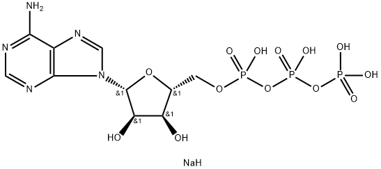 987-65-5_三磷酸腺苷二鈉標(biāo)準(zhǔn)品_Reference Standards