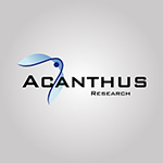 美國Acanthus.jpg